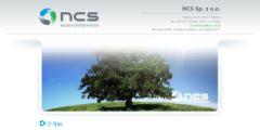 NCS - wizytówka w internecie